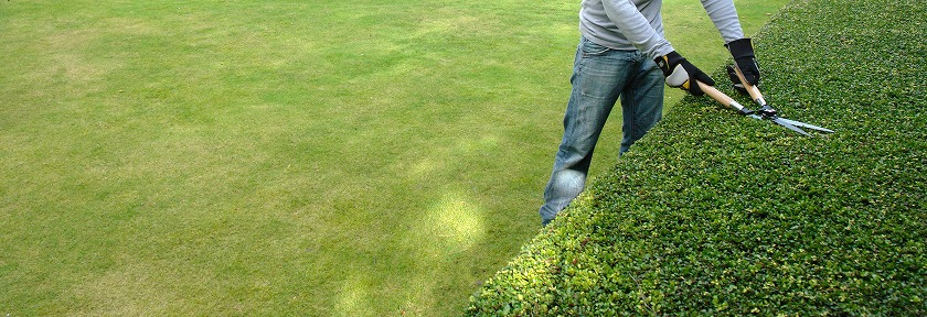 花木が好きな方大歓迎！造園工事の職人を目指すための重要なポイント