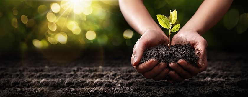 神戸市で造園工事や外構工事に携わる正社員求人のお知らせ